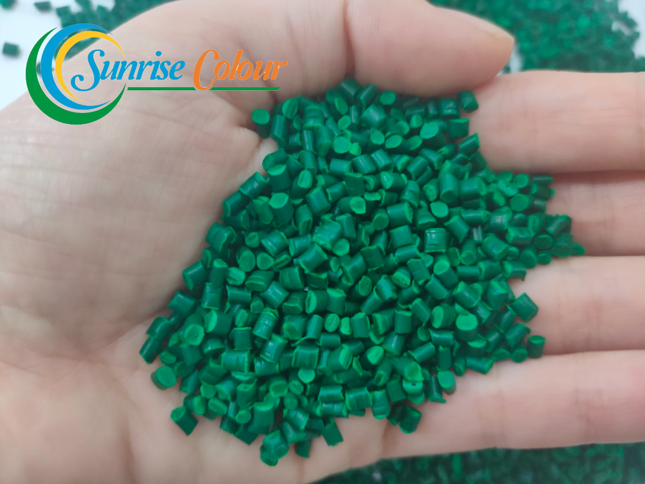 imageonline-co-logoadded (3)